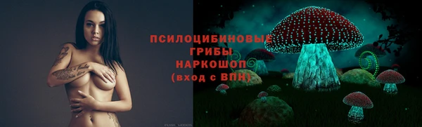 первитин Алексин