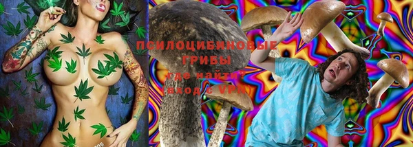 тгк Алексеевка