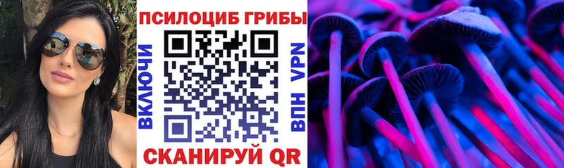 Галлюциногенные грибы MAGIC MUSHROOMS где можно купить Чусовой
